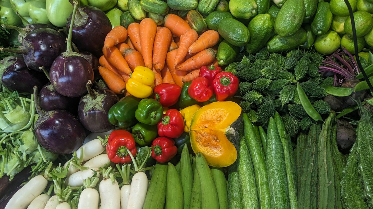 Impacto de parásitos en la salud digestiva